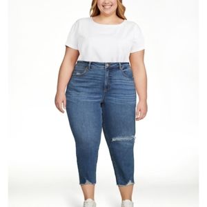 TERRA & SKY HIGH RISE VINTAGE CROP JEANS PLUS SIZE
